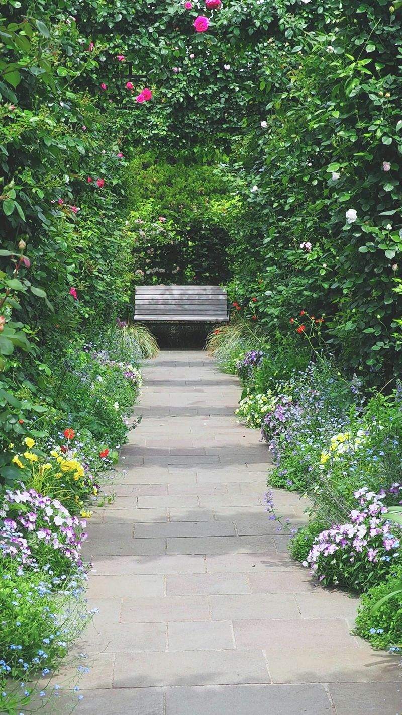 Oasis Garden Solutions - Image 15