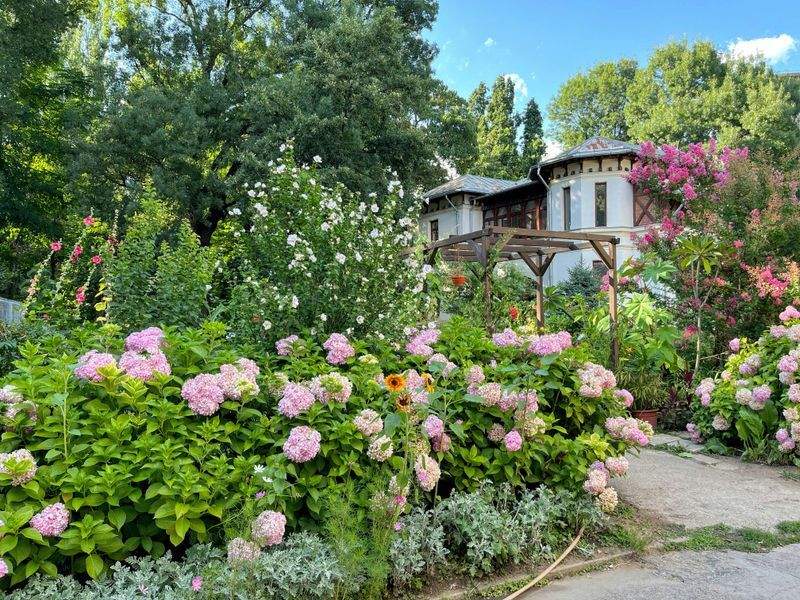 Oasis Garden Solutions - Image 6